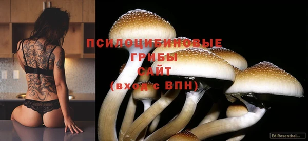 тгк Алексин