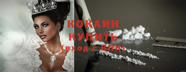 стафф Осташков
