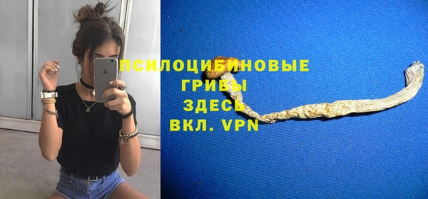 тгк Алексин