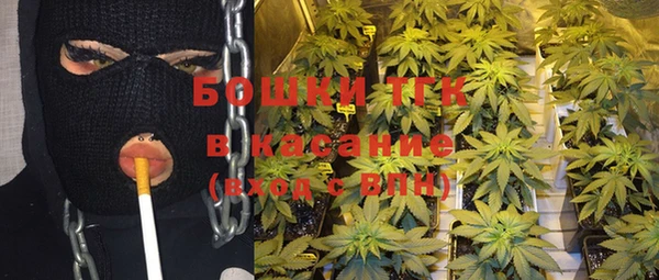 тгк Алексин