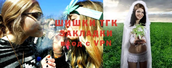 тгк Алексин